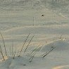 Каріна Сікорська фотография #22 (источник - https://vk.com/id154364347)