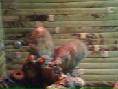 Мішаня Василюк фотография #35 (источник - https://vk.com/id16829036)