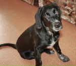 Фотография Кругликовой Юлии