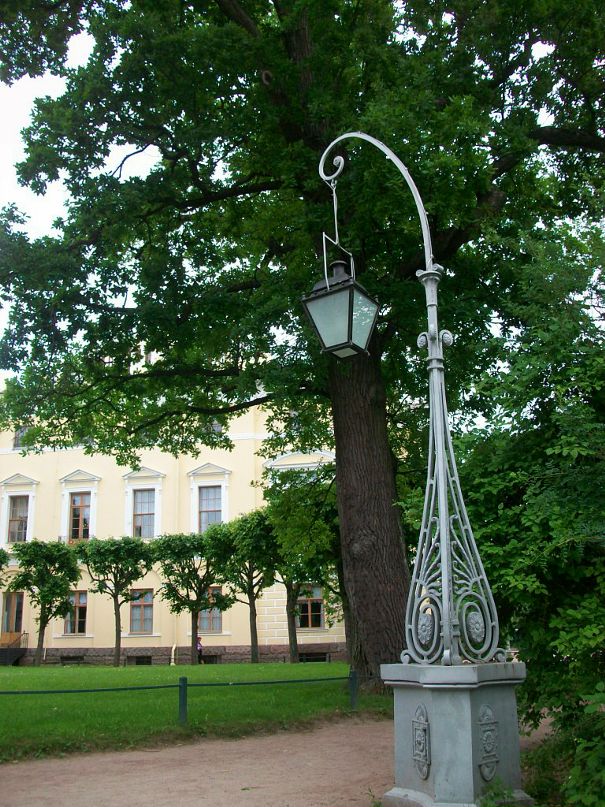 Дмитрий Грофф фотография #26