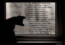 Наталочка-Натали Аверина фотография #48 (источник - https://vk.com/id54390010)