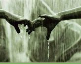 Фотография Анисковца Александра