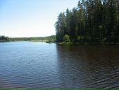 Андрей Окишев фотография #31 (источник - https://vk.com/id1010946)