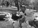 Фотография Гришаева Василия
