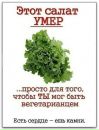 Назар Вінничук фотография #41 (источник - https://vk.com/id26703422)