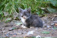 Константин Басалаев фотография #28 (источник - https://vk.com/id257097)