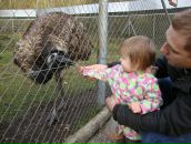 Людмила Гейнц фотография #29 (источник - https://vk.com/id97044397)