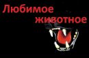 Сніжусік Поповська фотография #5 (источник - https://vk.com/id92087490)