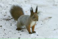 Фотография Чернышовой Людмилы