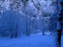 Сергій Нестерук фотография #17 (источник - https://vk.com/id49639108)