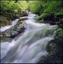 Love :) фотография #17 (источник - https://vk.com/id81002463)