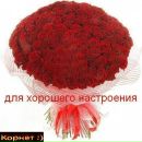 Маша Гордієнко фотография #34 (источник - https://vk.com/id173901599)