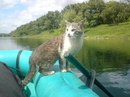 Андрій Шемшур фотография #10 (источник - https://vk.com/id136353839)