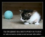 Фотография Троян Наталии