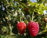 Андрій Драганчук фотография #21 (источник - https://vk.com/id15891638)