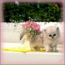 Фотография Павловой Юлии