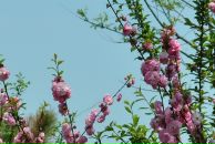 Viktoria Barabanova фотография #27 (источник - https://vk.com/id3774708)