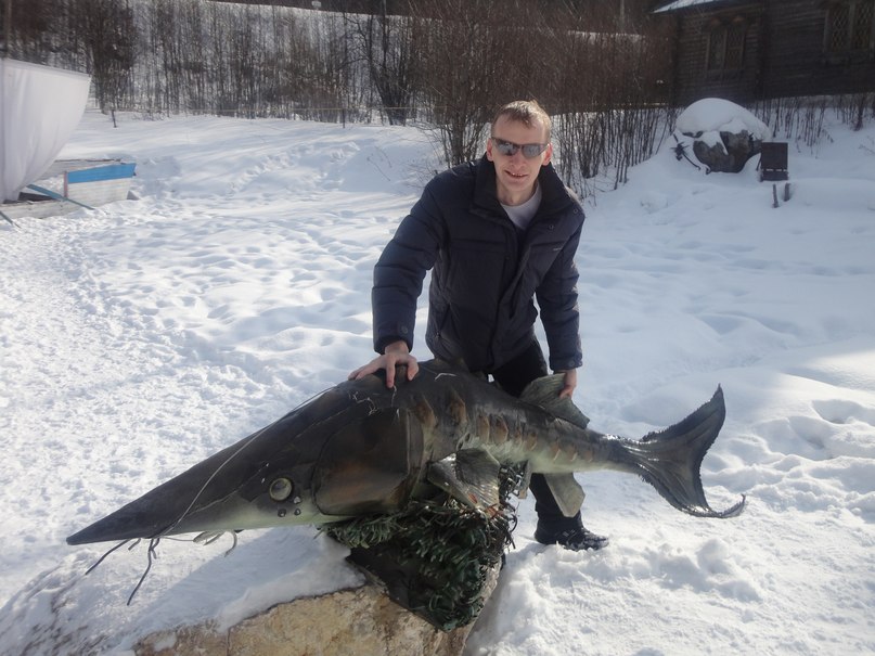 Сергей Обухов фотография #4