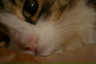 Фотография Котковой Натальи