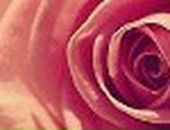 Маша Білоросюк фотография #8 (источник - https://vk.com/id123003306)