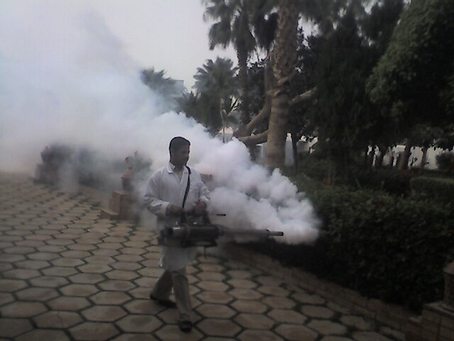 Zan Nikitin фотография #14