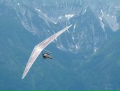 Наталія Захарчук фотография #4 (источник - https://vk.com/id8059224)