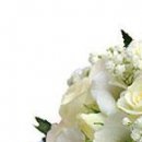 Лілія Левко фотография #46 (источник - https://vk.com/id144368814)