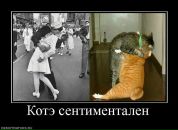 Олег Молофеев фотография #50 (источник - https://vk.com/id96820106)