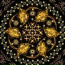 Фотография Гарипова Дениса