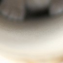 Юля Пічкар фотография #20 (источник - https://vk.com/id143598490)