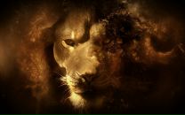 Оля Комуніцка фотография #4 (источник - https://vk.com/id72680181)