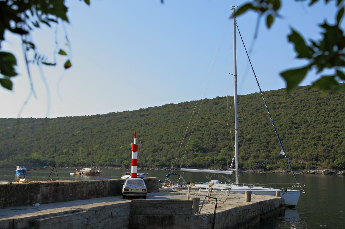 Дмитрий Старицын фотография #23