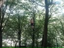 Сергій Нечипорук фотография #20 (источник - https://vk.com/id81576796)