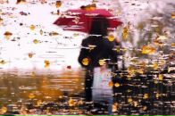 Фотография Забалуевой Екатерины