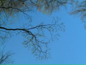 Фотография Высотина Егора