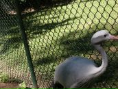 Віка Богатюк фотография #32 (источник - https://vk.com/id77462187)