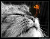 Фотография Проць Оксаны