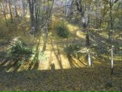 Олеся Колодій фотография #20 (источник - https://vk.com/id78501449)