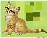 Фотография Емелиной Маргариты