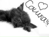 Фотография Мининой Александры