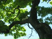 Фотография Алексеевой Жанны