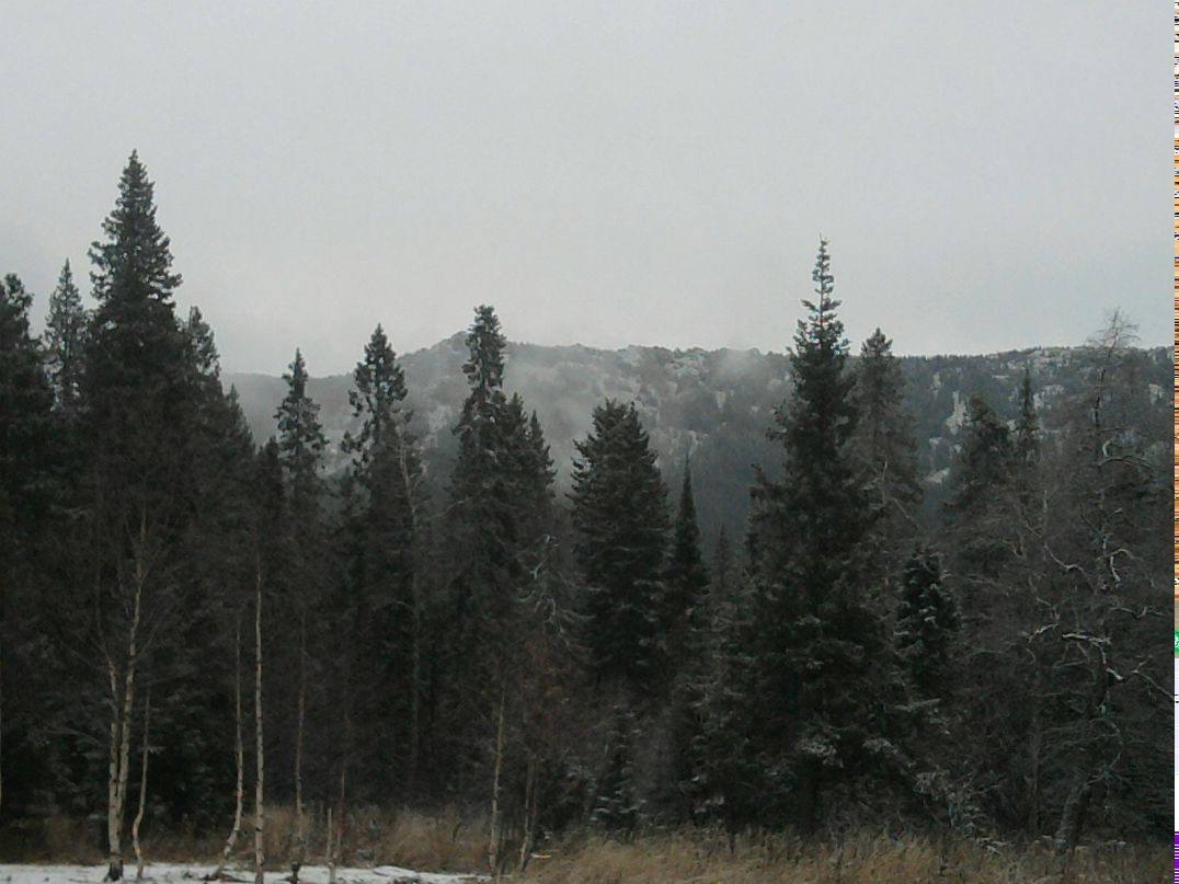 Павел Синицын фотография #43