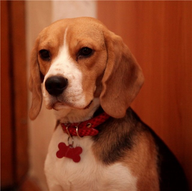 Катя Терёшина фотография #9