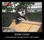 Фотография Алексеева Анна