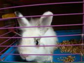 Фотография Коновалова Дениса