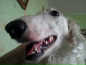 Фотография Бакировой Алины