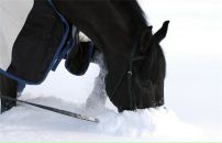 ♦ĐÃ®•Ķ ♦ фотография #42 (источник - https://vk.com/id134963660)