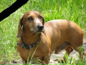 Игорь Луков фотография #15 (источник - https://vk.com/id4749943)