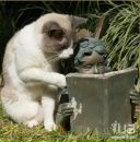 Сергій Юрійчук фотография #10 (источник - https://vk.com/id62103415)