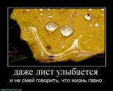 Фотография Александряна Александра